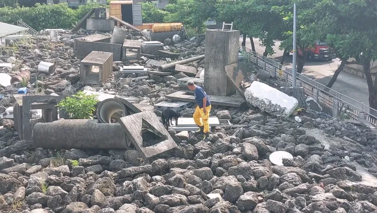 麗蓋兒僅花40秒就找到待救者。凃建豐攝