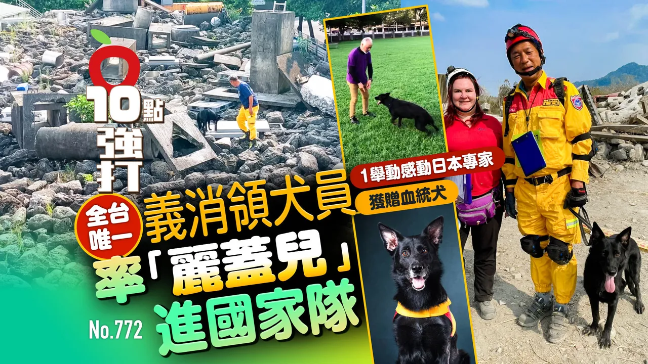 獨家|全台唯一義消領犬員率「麗蓋兒」進國家隊!1舉動感動日本專家獲贈血統犬(壹蘋10點強打)