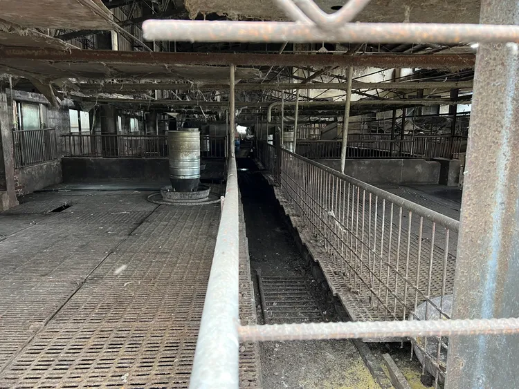 被驗出非洲豬瘟的養豬場。民眾提供