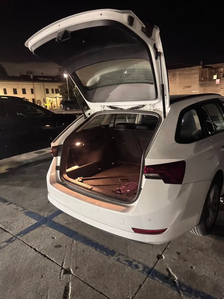 壯壯到義大利托斯卡尼的比薩斜塔觀光，2小時後回到車子，後車箱已被打開，東西全被偷。汗土娛樂提供