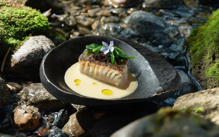 阪前加碼秋冬回饋，內用消費1客套餐，即可獲得魚子醬龍虎斑佐乳酪味噌。王品集團提供。