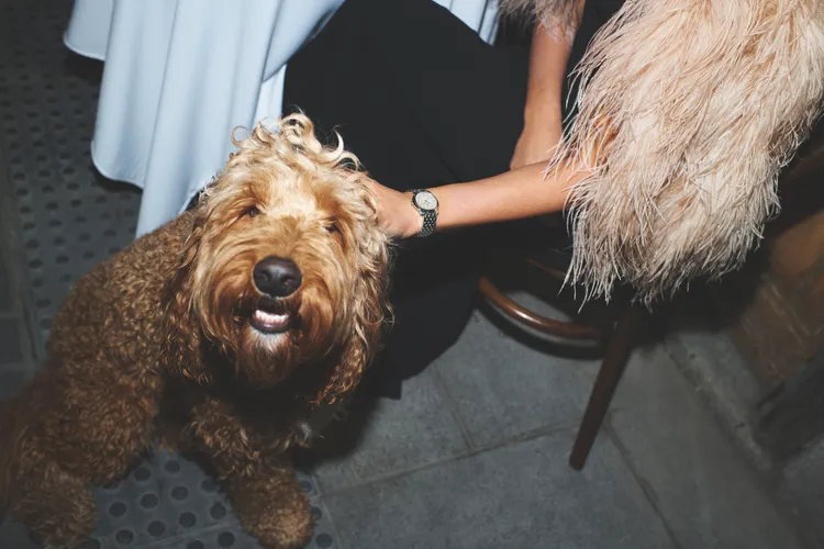 百年靈全新Lady Premier腕錶。品牌提供