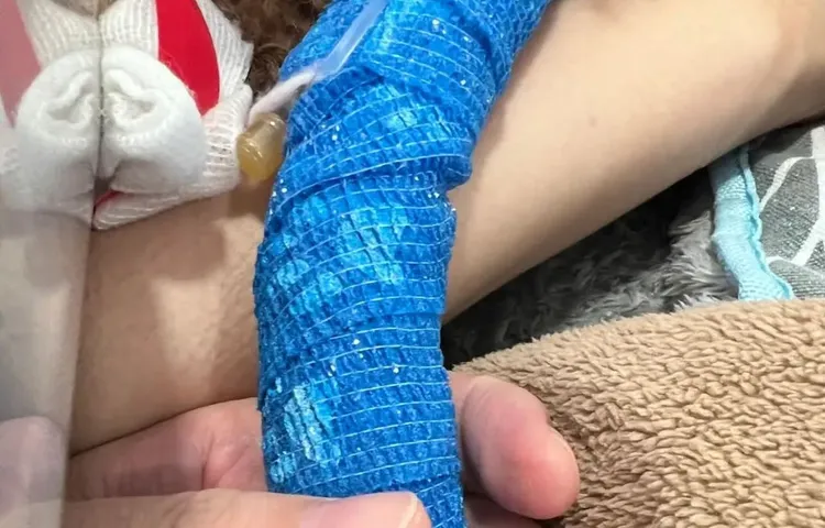 「老高與小茉」的愛犬罹癌治療中。翻攝「老高與小茉」YT