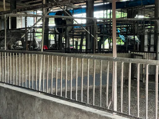 台中驚見非洲豬瘟!養豬大縣彰化急推5措施 廚餘一律送焚化爐