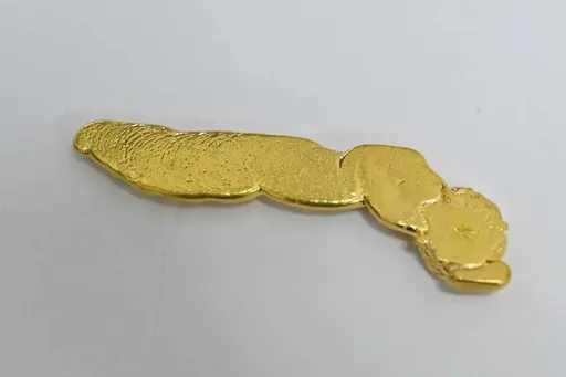 又有珍寶被偷!巴黎自然歷史博物館5千萬元金塊遭竊 1中國女子涉案被起訴