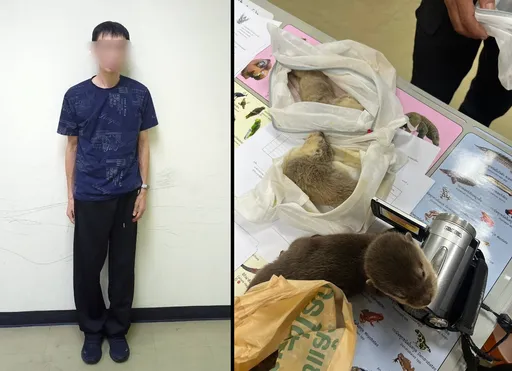 「衣服會動」台男走私水獺松鼠想飛高雄 被泰國海關看穿攔下