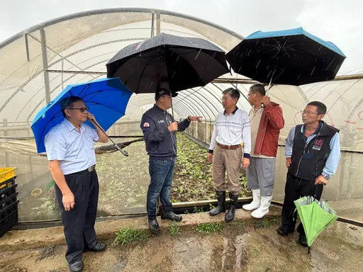 豪雨釀災水淹農作 桃市農業局勘災應變助農民