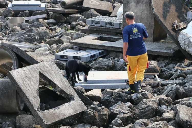 麗蓋兒專長為瓦礫搜尋。凃建豐攝