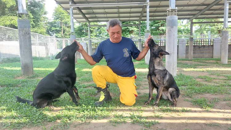 訓練搜救犬要適時餵食小點心作為獎勵。凃建豐攝