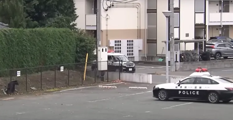 岩手縣盛岡市街頭出現熊隻。翻攝自ANN新聞