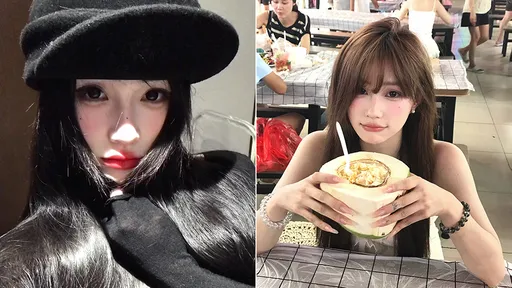 怪盗闺蜜!网美借宿「狸猫换太子」偷走6网红4000万元名牌包