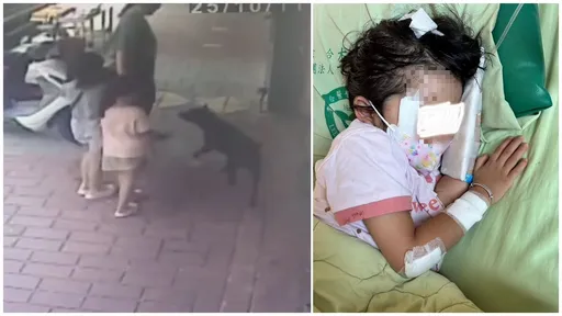 三義木雕街黑犬「咬2童」影片曝!店家未繫繩 女童傷痕累累
