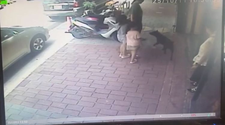 苗栗三義木雕街黑犬咬人畫面曝光　店家未繫繩突發狂攻擊！2童被咬傷