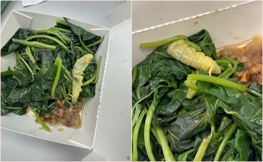 超大菜虫出现在煮好外带的的烫青菜中。翻摄自threads