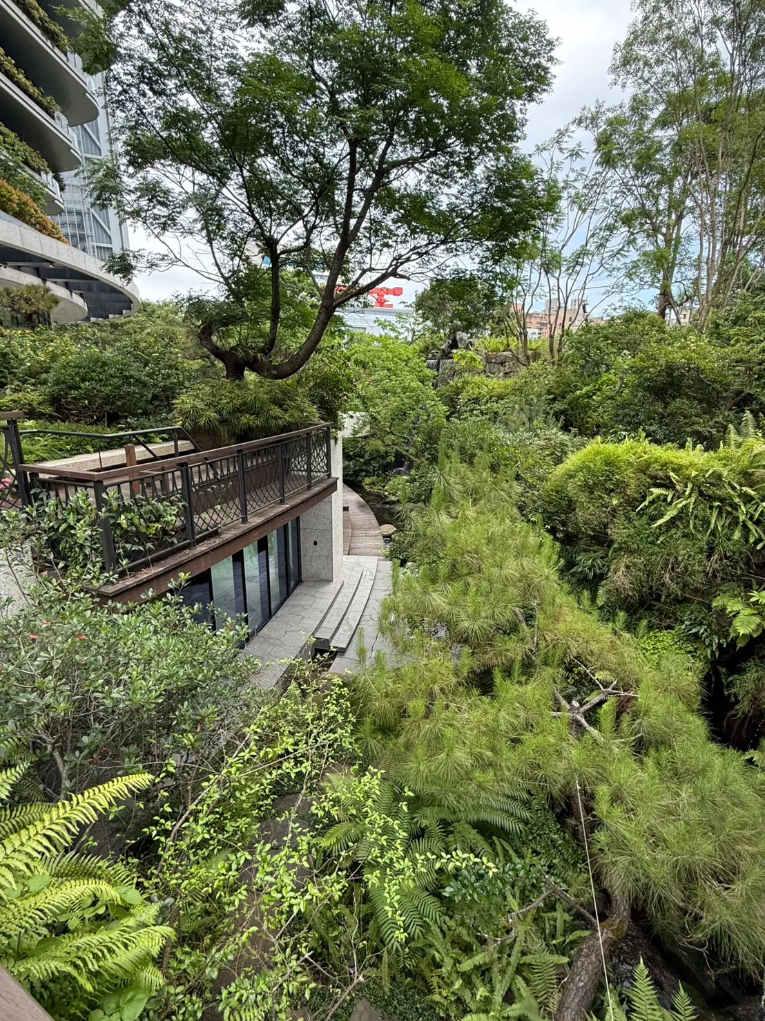 陶朱隐园种植超过2万3000棵乔灌木。读者独家提供