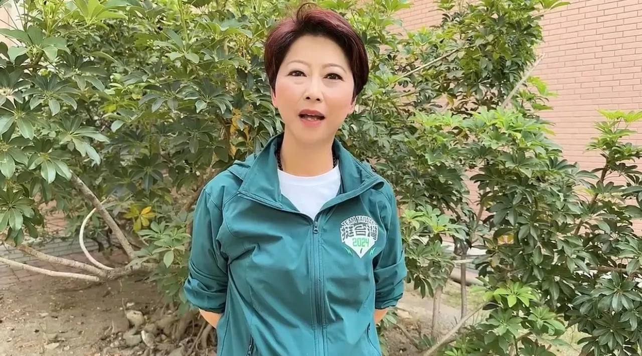 立委陈亭妃认为,谢龙介经常以所谓「内幕消息」干扰民进党党内初选。民众提供