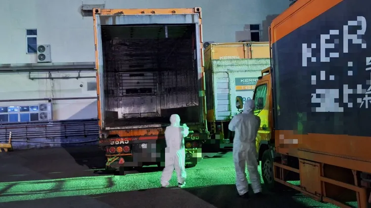 高雄市衛生局稽查運送非洲豬瘟肉品貨運車輛並消毒。翻攝畫面