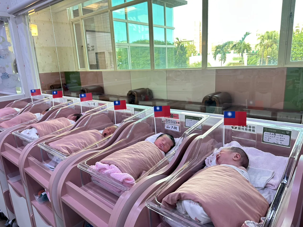 國慶寶寶。秉坤婦幼醫院提供