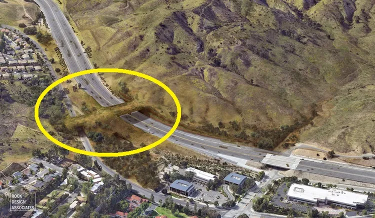 洛杉磯「華立斯．安納伯格野生通道」（黃圈）預計2026年完工，連結兩個山脈的生態環境。圖工程單位提供的示意圖。（Rock Design Associates與國家野生動物聯盟提供） 中央社