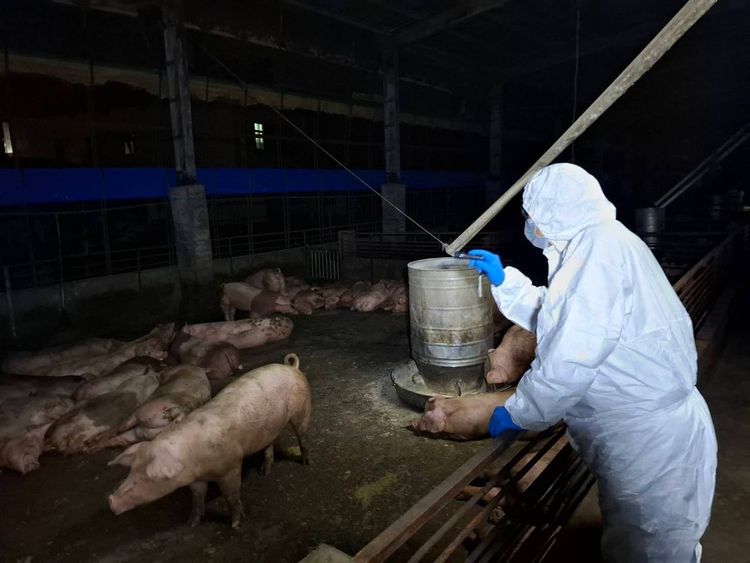 曝刪凍4千萬「邊境查驗費」原因！民眾黨轟側翼：出事就哭窮