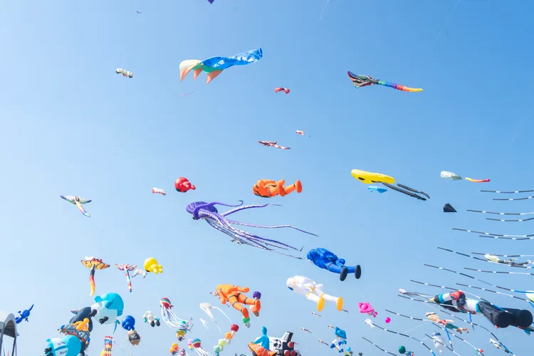 各式巨型風箏接連升空。新竹市府提供