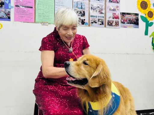 淡水古蹟博物館辦失智友善成果發表 治療犬陪長者走秀、處方箋可享優惠
