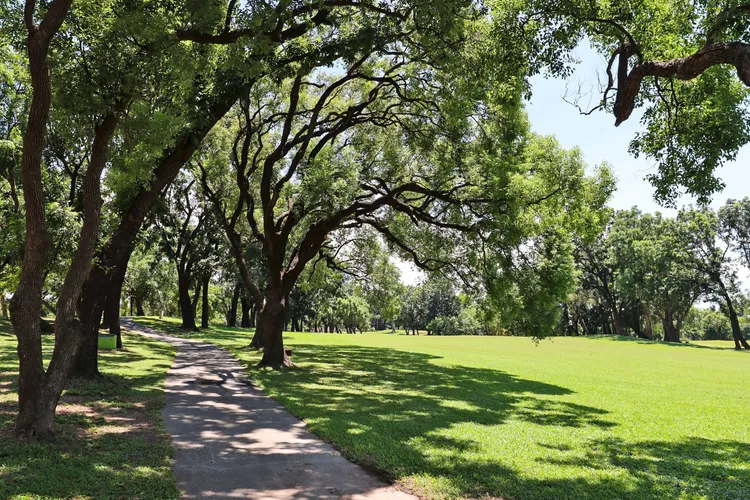 高雄果嶺自然公園曲徑通幽。翻攝畫面