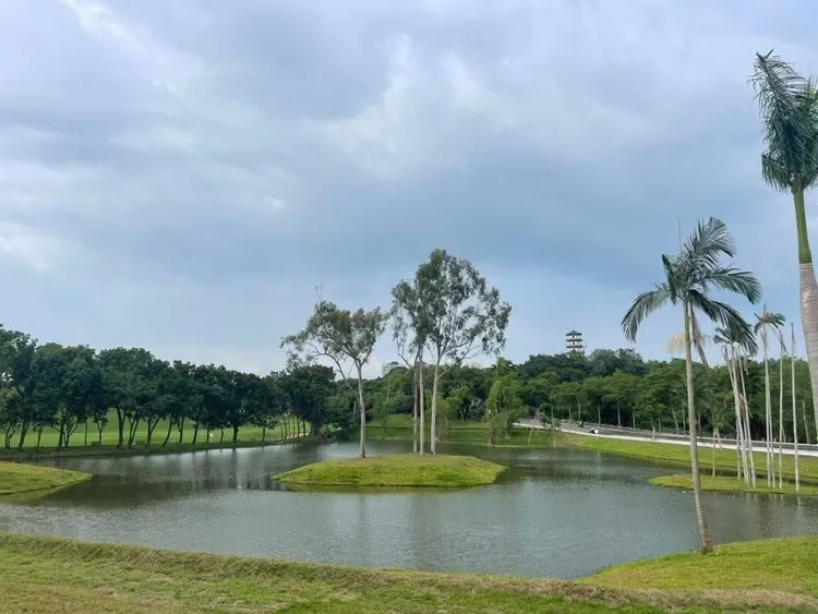高雄果嶺自然公園綠水相映。翻攝畫面