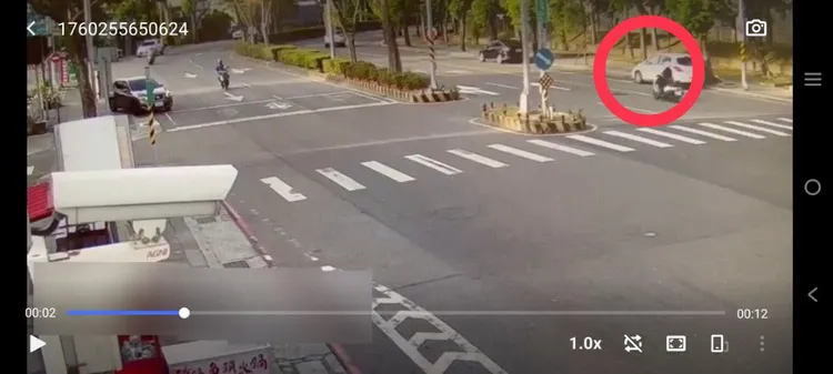 女騎士騎車經過樹蔭處遭「彈襲」，原來是行道樹果實惹得禍。翻攝畫面