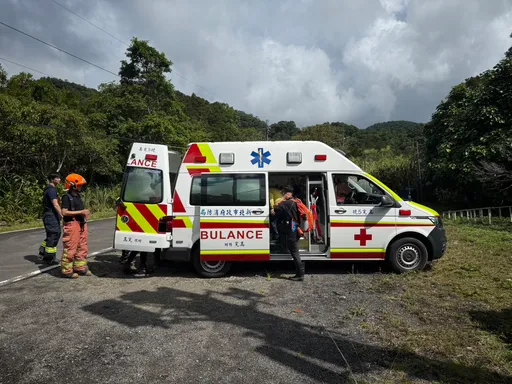 新北坪林虎头蜂螫登山客 7人受伤送医