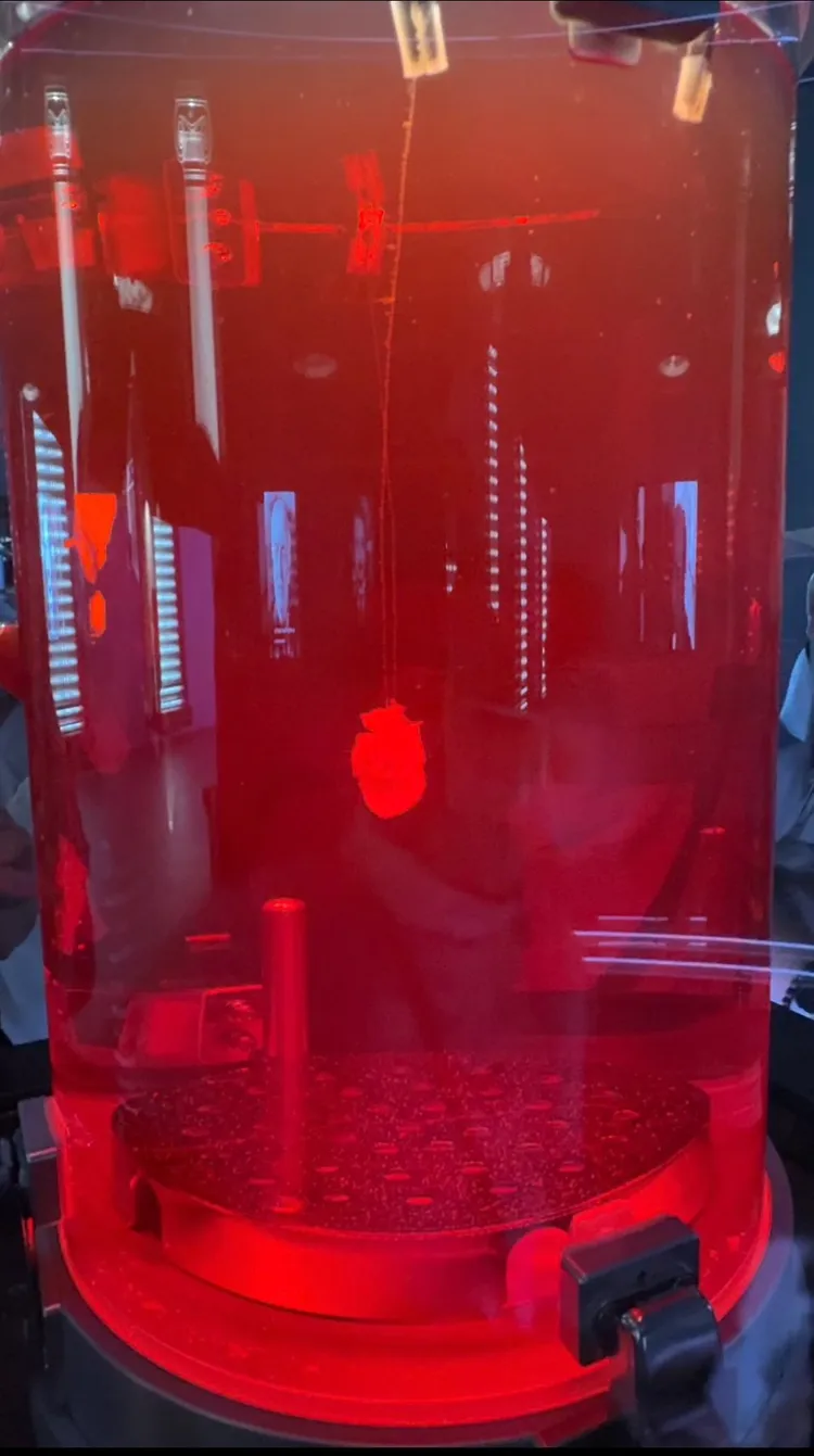 大阪萬博今年展出澤芳樹教授的日本團隊以iPSC技術培養出一顆直徑2公分的跳動心臟。三顧提供