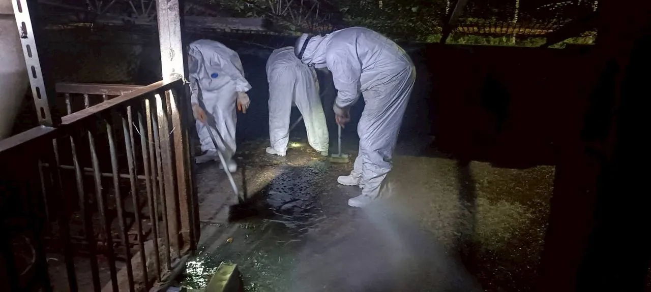 台中市农业局昨连夜对养猪场进行消毒。翻摄画面