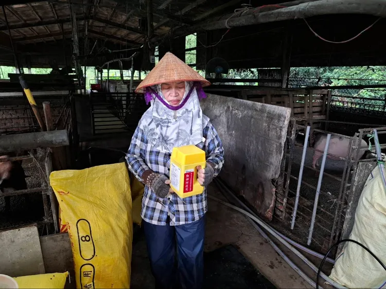 新北市政府聯合稽查小組提供消毒水給107間養豬場。動保處提供