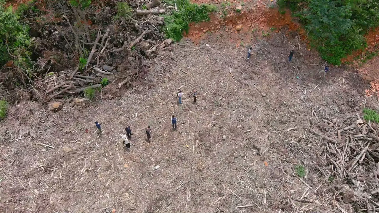 專案小組人員現場勘察,發現整片山坡地滿滿都是廢樹枝樹葉。民眾提供