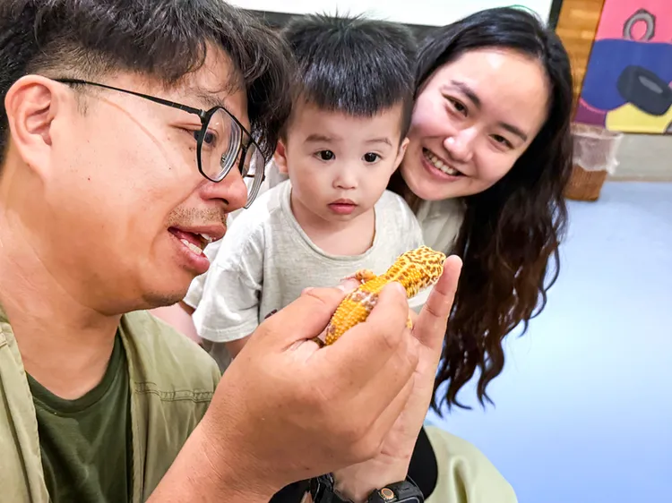 與動物面對面，觸摸刺蝟與豹紋守宮，零距離體驗生命教育。煙波國際觀光集團提供