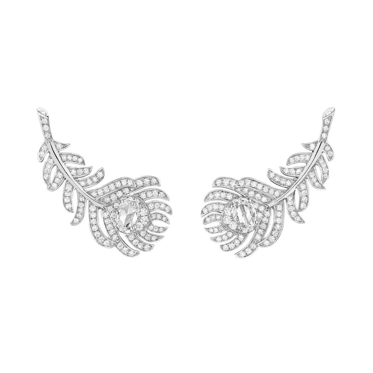 Boucheron Plume de Paon孔雀羽毛系列耳环白金750材质镶嵌钻石,74万2000元。品牌提供