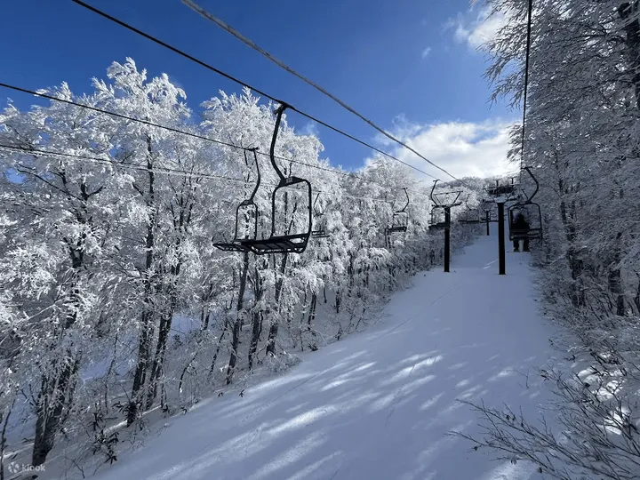 日本东北山形藏王温泉滑雪场。业者提供