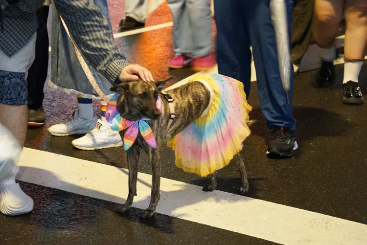 狗狗也穿上彩虹裝扮一同上街遊行。邱筠媜攝