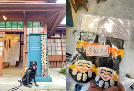 「看不見進去也沒用!」 台灣木材故事館志工拒視障者、導盲犬入內    管理單位說話了