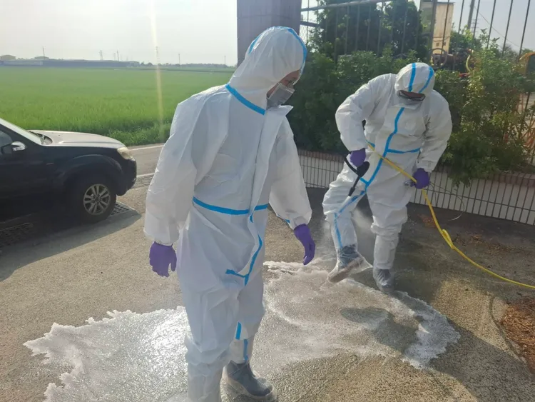 動保處人員進入養豬場前後嚴格執行生物安全消毒工作。翻攝畫面