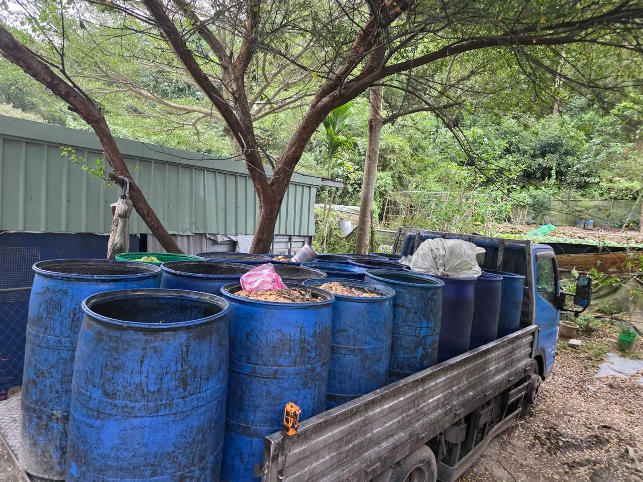 該處養豬場放置廚餘桶。翻攝畫面