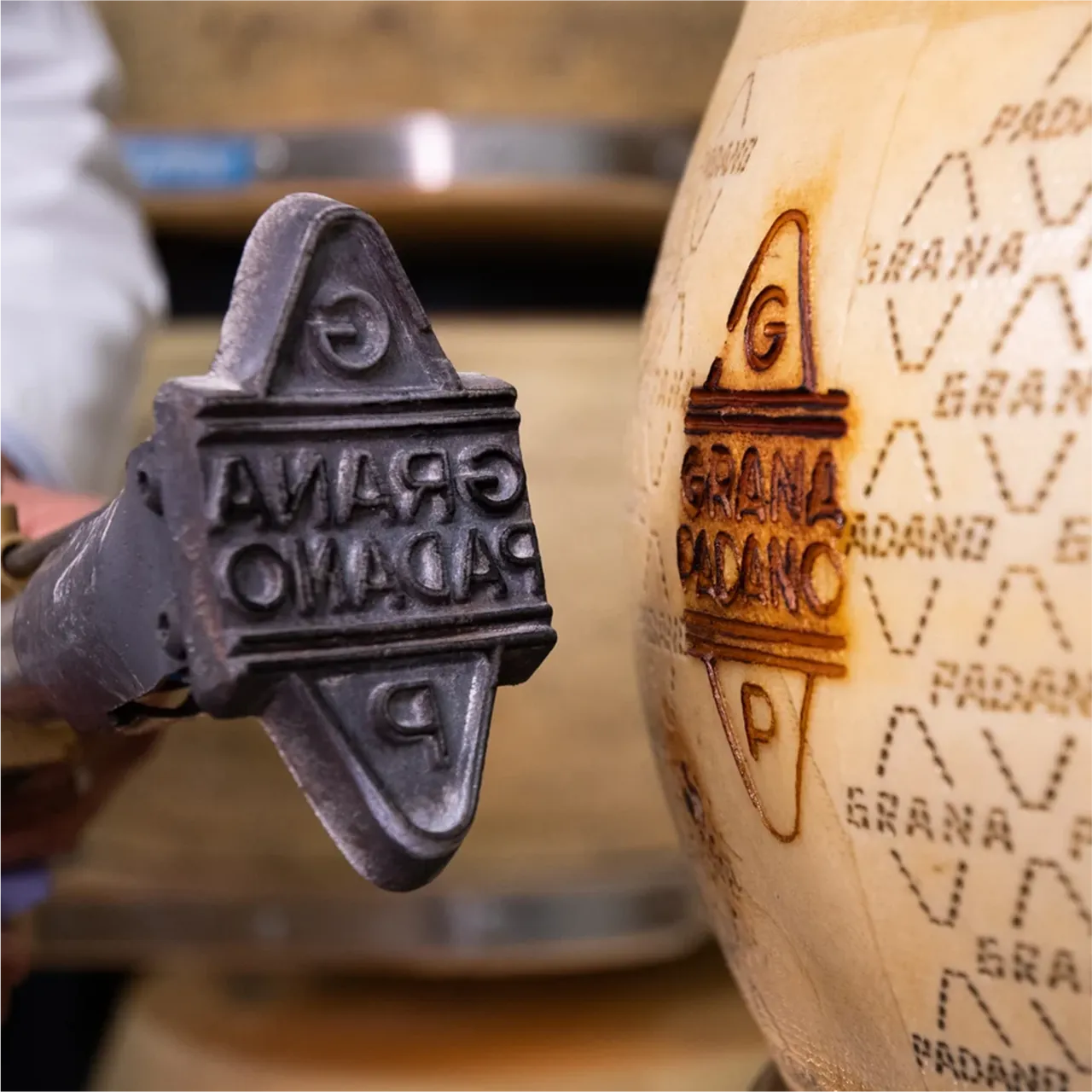 Grana Padano PDO帕达诺乳酪是官方认证最优质的乳酪标志 。业者提供