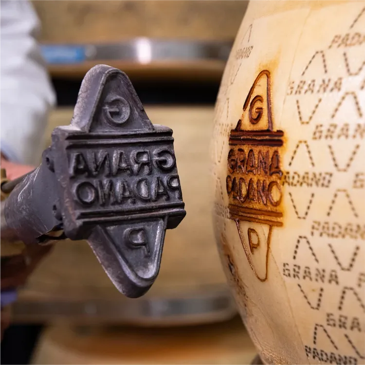 Grana Padano PDO帕達諾乳酪是官方認證最優質的乳酪標誌 。業者提供