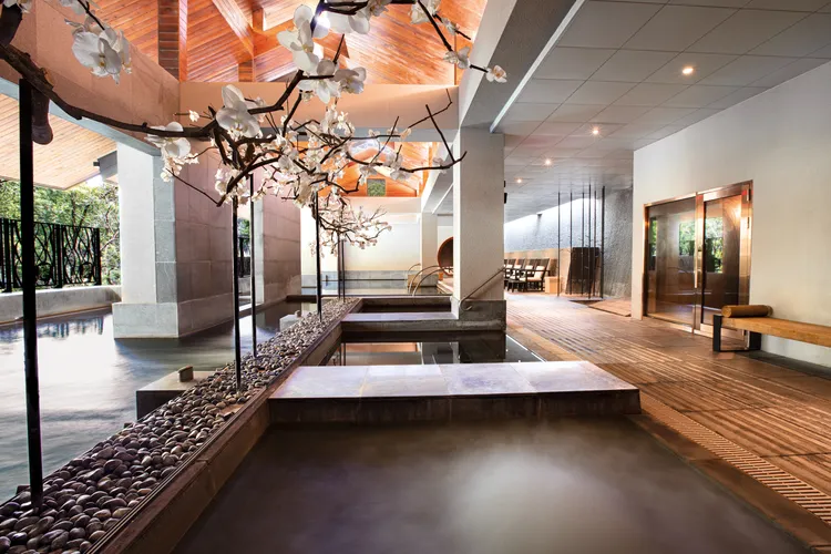 烏來璞石麗緻溫泉會館大眾湯券，凡購買三十張套券組，再加贈五張。業者提供