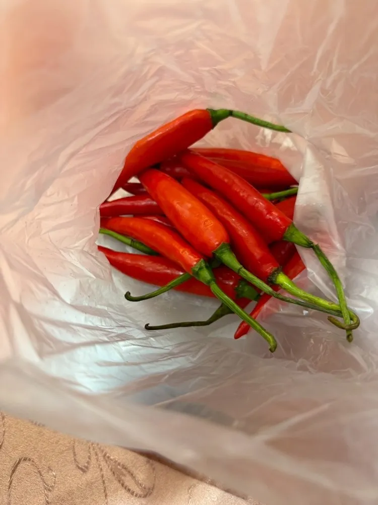 大同區馬來亞餐廳辣椒農藥超，標移請台中市衛生局處辦。台北市衛生局提供