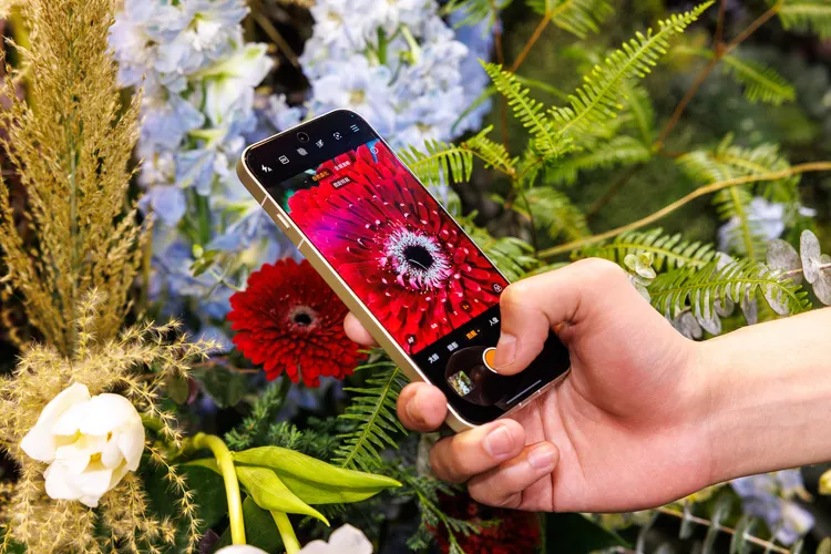 Find X9系列以OPPO影像技術為基礎，結合專業相機品牌哈蘇的經典色調與美學，支援最近10公分的長焦微距，帶來更多有趣的視角。OPPO提供