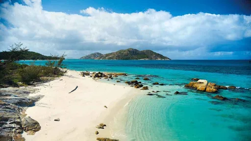 登島旅行「被遊輪丟包」　80歲婦人受困孤島隔天成死屍