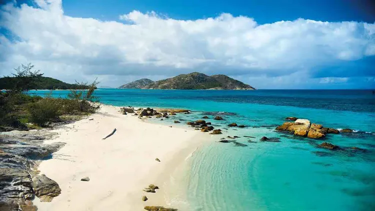 示意图。翻摄自蜥蜴岛公园网站