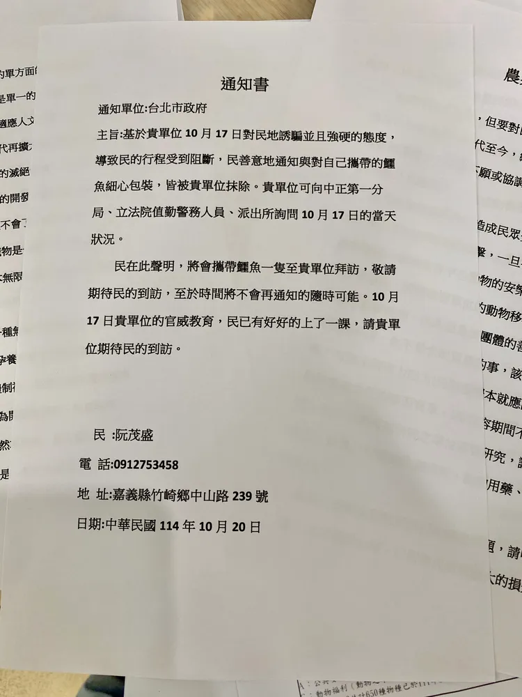 業者今日向北市府發出通知書，聲明將會攜帶一隻鱷魚至單位拜訪。莊偉祺攝