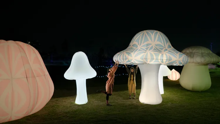 白晝之夜展出作品_尹子潔《仙女圈》，蘑菇自然生長形成的圓圈被稱為仙女圈，相傳是仙女夜晚聚會的地方，象徵神秘與幸運。北市文化局提供